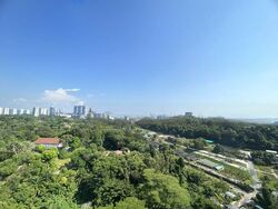 Normanton Park (D5), Apartment #465392081